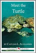 Meet the Turtle by Caitlind Alexander: NOOK Book Cover