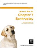 download How to File for Chapter 7 Bankruptcy book