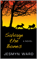 Salvage the Bones