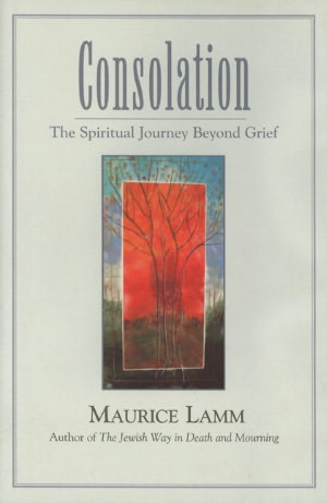 Consolation: The Spiritual Journey Beyond Grief