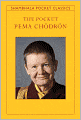 Pocket Pema Chodron