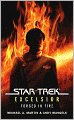 Star Trek Excelsior: Forged in Fire