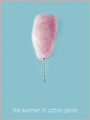 The Summer of Cotton Candy: Sweet Seasons Series, Book 2