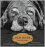 Old Dogs: Are the Best Dogs