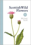 Scottish Wild Flowers: Mini Guide