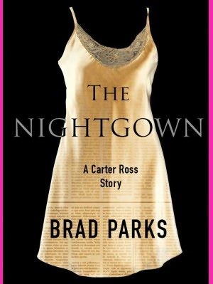 Nightgown: A Carter Ross Story