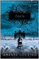 Torn (Trylle Trilogy #2)