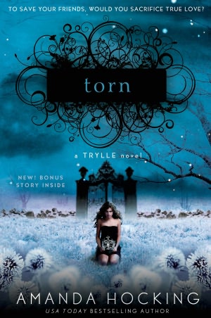 Torn (Trylle Trilogy #2)