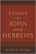 Essays on John and Hebrews
