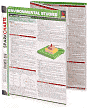 Environmental Studies (SparkCharts)