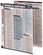 World History (SparkCharts)