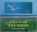 A Beach for the Birds