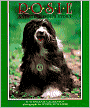 Rosie: A Visiting Dog's Story