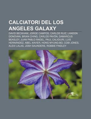 Calciatori del Los Angeles Galaxy: David Beckham, Jorge Campos, Carlos Ruiz, Landon Donovan, Brian Ching, Carlos Pav N, Damarcus Beasley