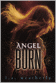 Angel Burn (Angel Trilogy Series #1)