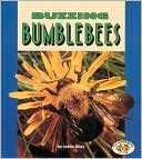 Buzzing Bumblebees