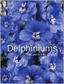 Delphiniums