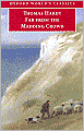 Far from the Madding Crowd