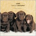 Labs: Lightweights Littermates