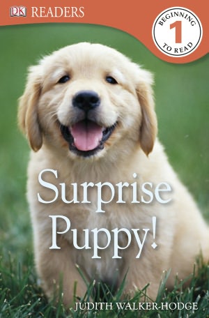 Surprise Puppy! (DK Readers Series Level 1)