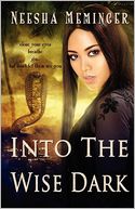 Into the Wise Dark