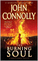 The Burning Soul (Charlie Parker Series #10)