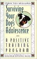 Surviving Your Dog's Adolescence: A Positive Training Program