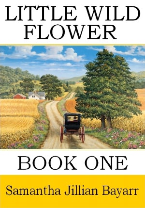 Little Wild Flower: Book One (Amish Fiction/Romance)