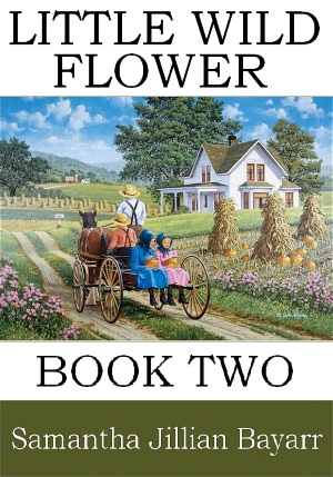 Little Wild Flower: Book Two (Amish Fiction/Romance, Christian Romance)