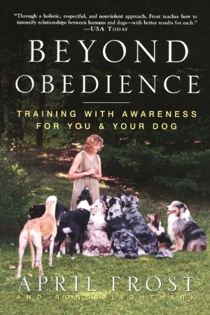 Beyond Obedience: Training with Awareness for You and Your Dog