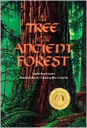 The Tree in the Ancient Forest