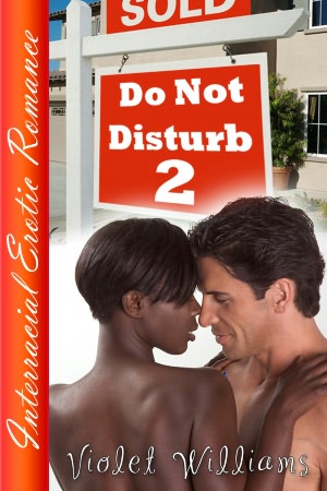 Do Not Disturb 2 Interracial