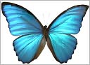 How To Transform Your Life And Stay That Way-What Do You Want To Achieve? Where Do You See Yourself 5 Years From Now?-This Book Will Help You Understand What IS Holding You Back and How To Overcome It