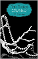 Dark Desires: Owned (A Dark Love Collection)
