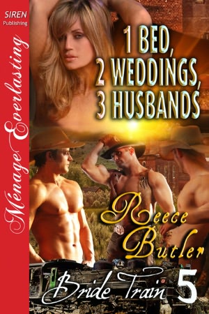 1 Bed, 2 Weddings, 3 Husbands