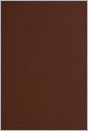 The King James Study Bible