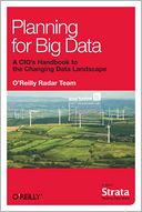 Planning for Big Data