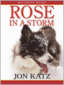 Rose in a Storm