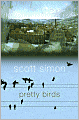 Pretty Birds