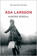 Aurora boreal