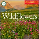2013 Audubon Wildflowers Wall Calendar