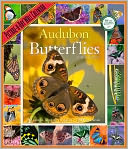 2013 Audubon Butterflies Picture-A-Day Wall Calendar