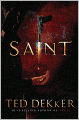 Saint (Paradise Series #2)