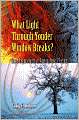 What Light Through Yonder Window Breaks?: More Experiments in Atmospheric Physics