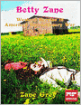 Betty Zane: Western Heroine in American Revolutionary War