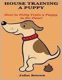 House Training a Puppy: How to Potty Train a Puppy in No Time!