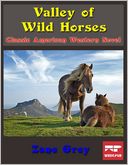 download Valley of Wild Horses : Classic American Western Novel book
