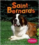 Saint Bernards
