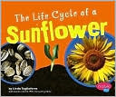 The Life Cycle of a Sunflower