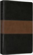 ESV Thinline Bible (TruTone, Black/Tan, Trail Design)